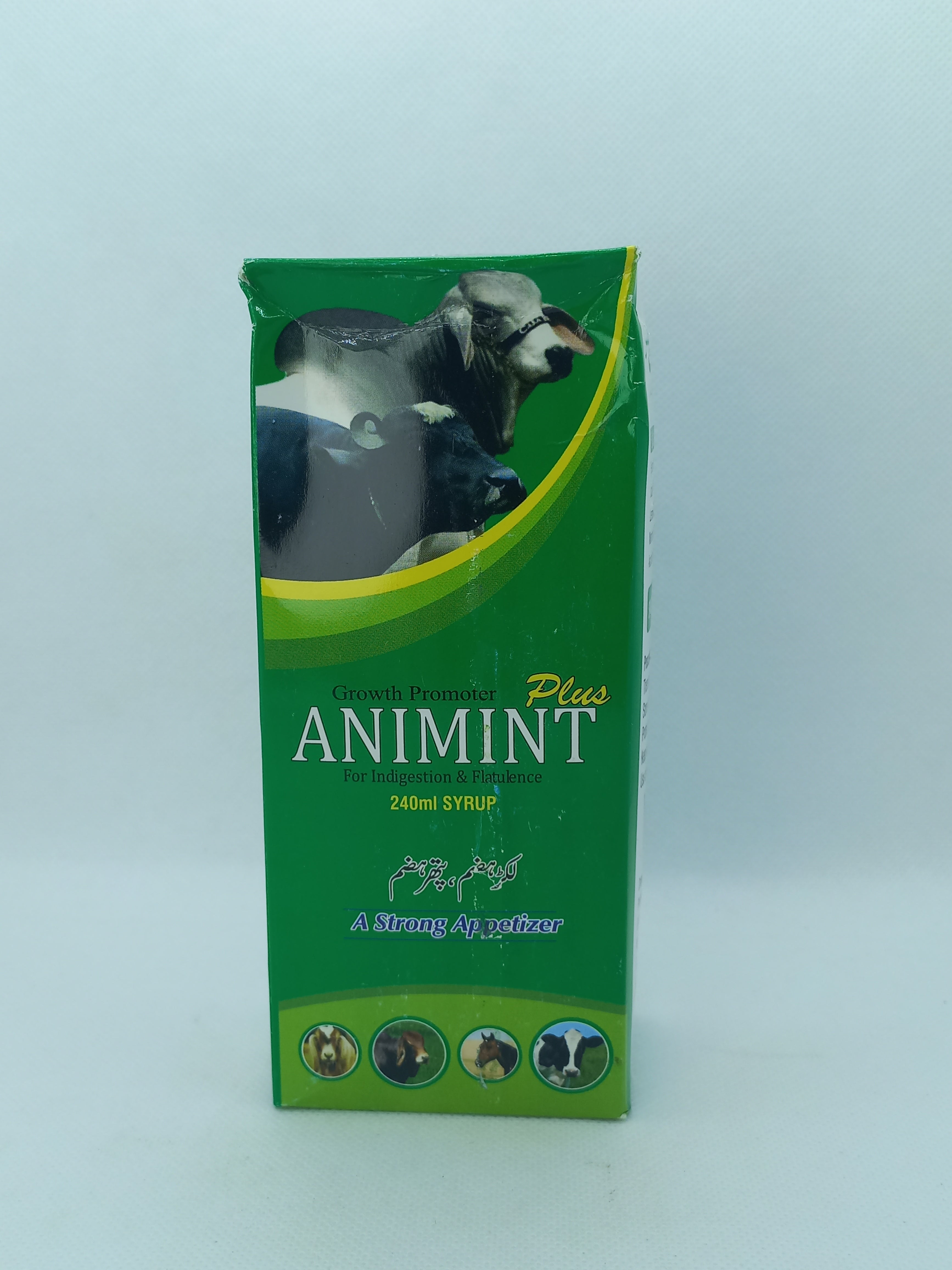 ANIMINT 240 ML SYRUP