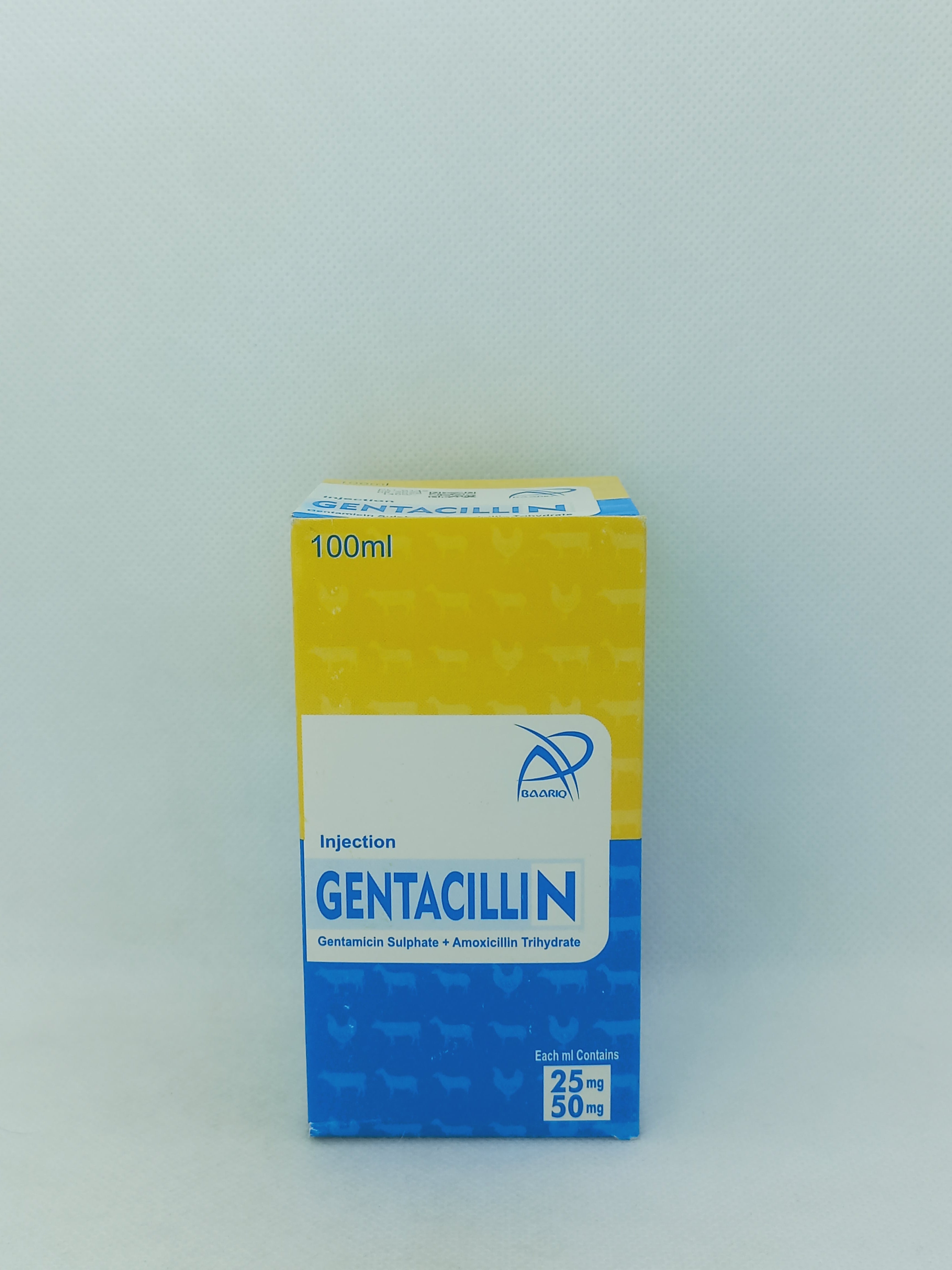 GENTACILLINE INJ 100ML