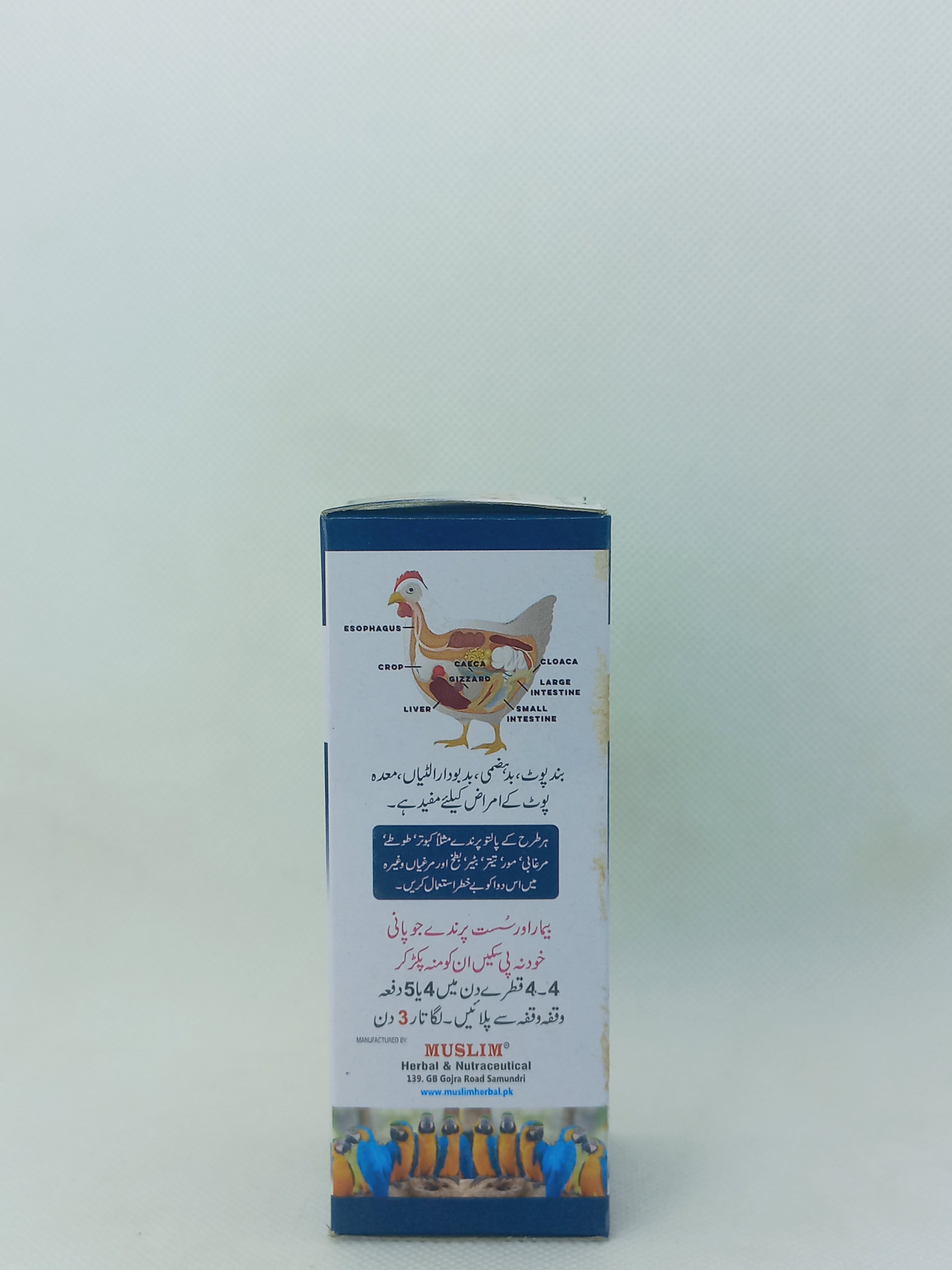 HAZAM PET GEST 60ML
