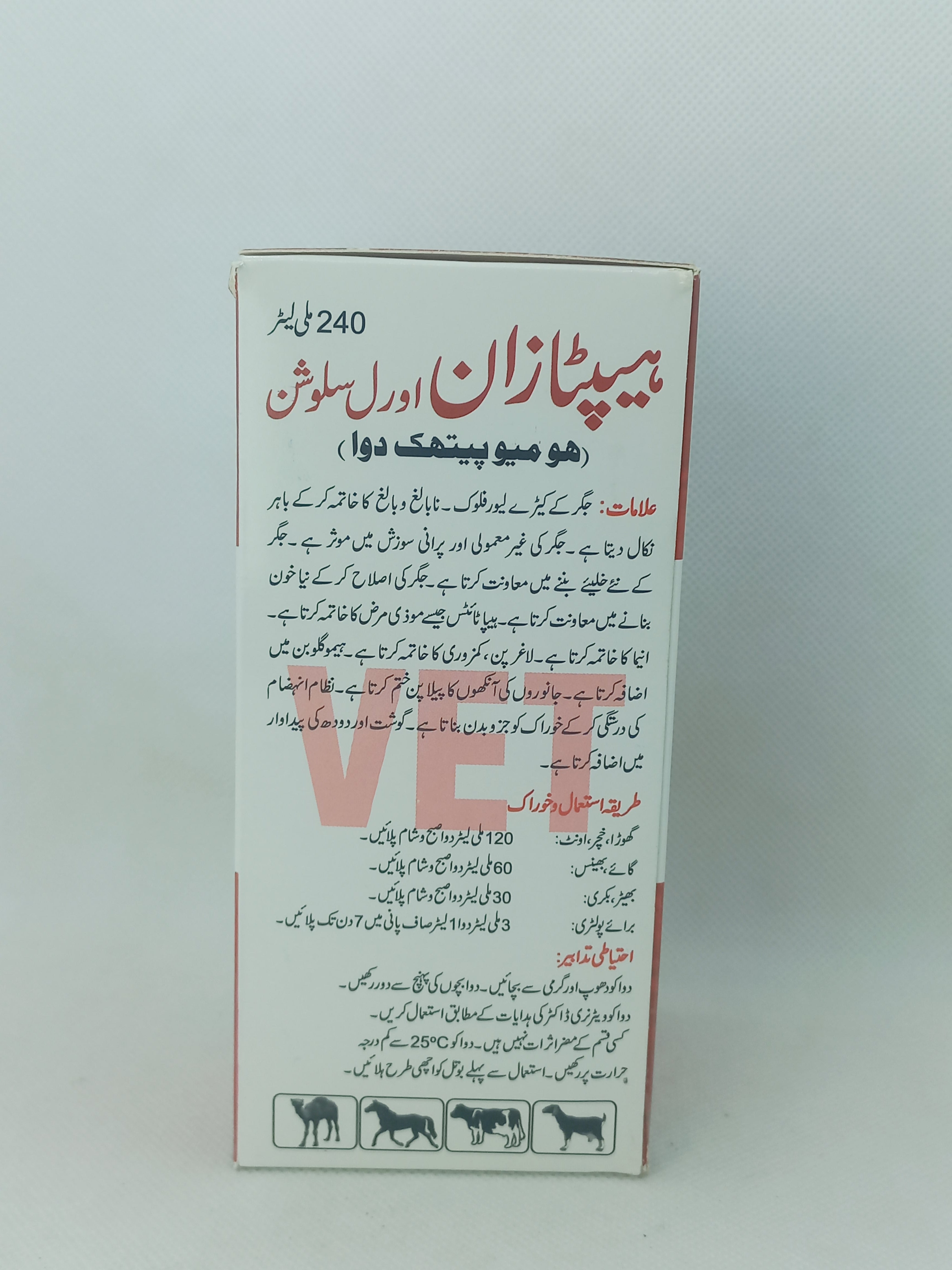 HEPTAZAN ORAL SOLUTION 240ML