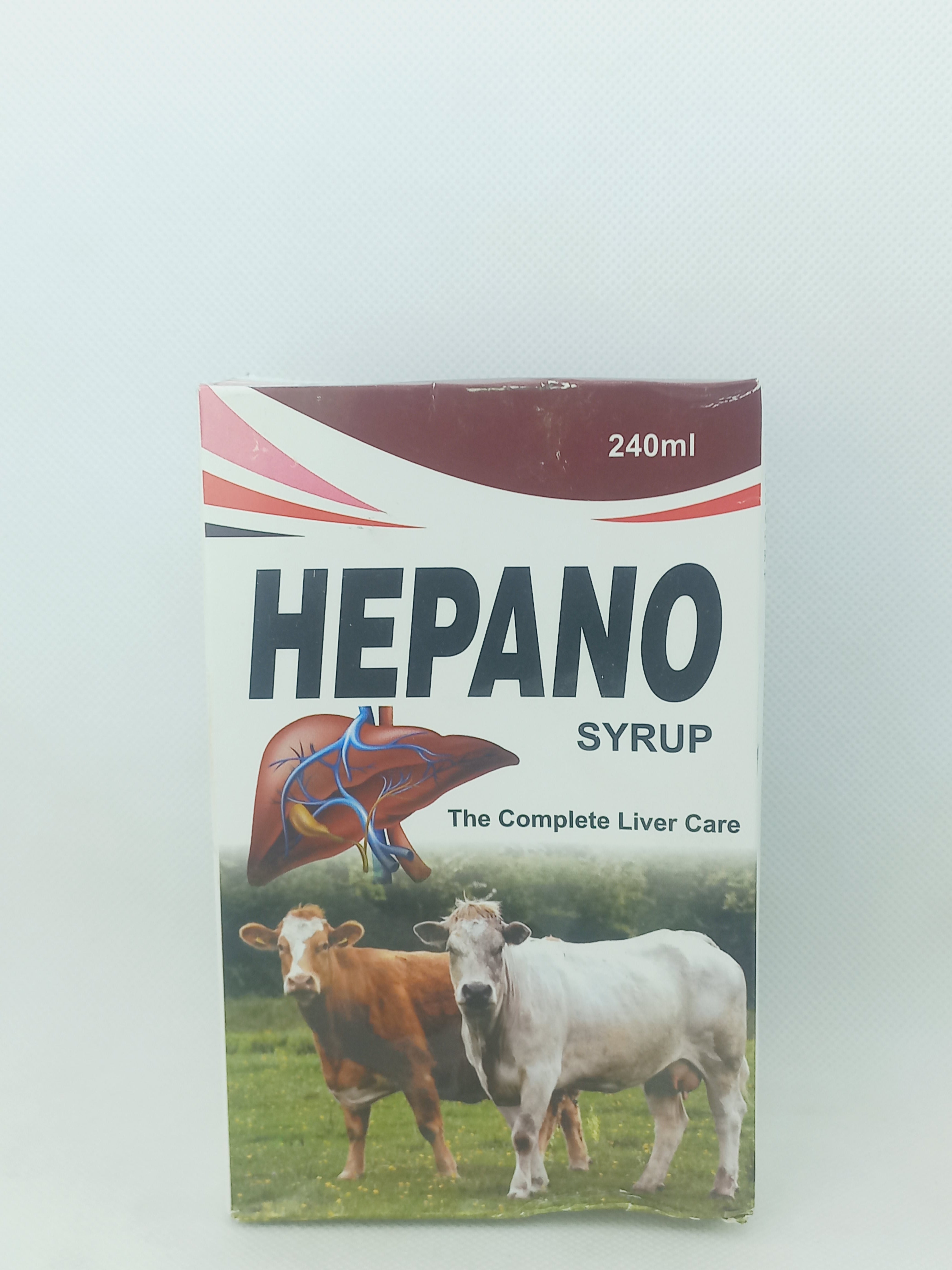 HEPANO SYRUP 240